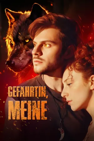Gefährtin, Meine