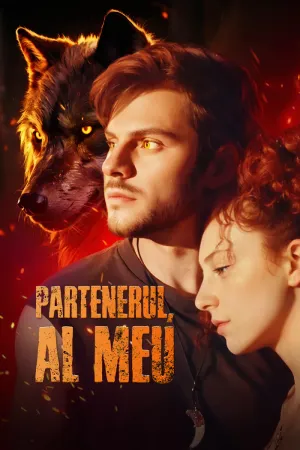 Partenerul, Al Meu