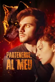 Partenerul, Al Meu
