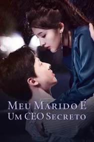 Meu Marido é um CEO Secreto