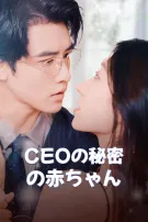 CEOの秘密の赤ちゃん