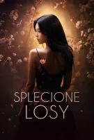 Splecione Losy