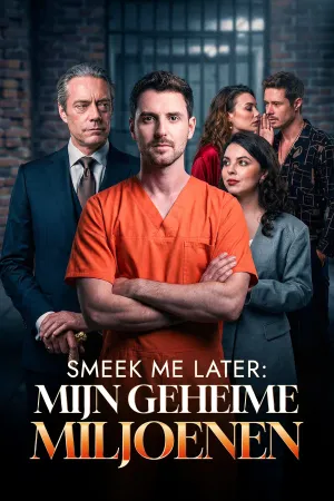 Smeek Me Later: Mijn Geheime Miljoenen