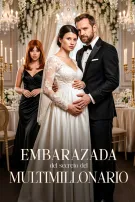 Embarazada del secreto del multimillonario