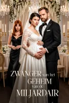 Zwanger van het Geheim van de Miljardair