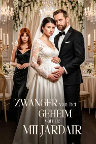 Zwanger van het Geheim van de Miljardair