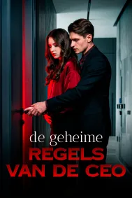 De geheime Regels van de CEO