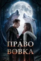 Право Вовка